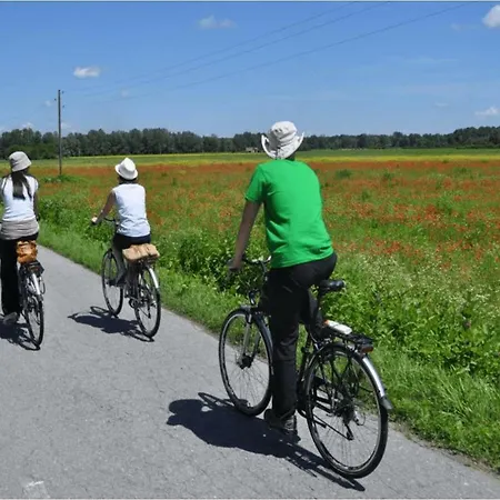 Panoramic Sea View House