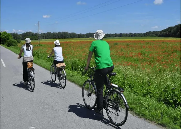 Panoramic Sea View House